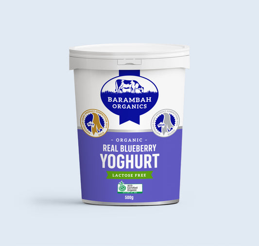 Barambah Organic Blueberry Yoghurt 500ml Lactose Free