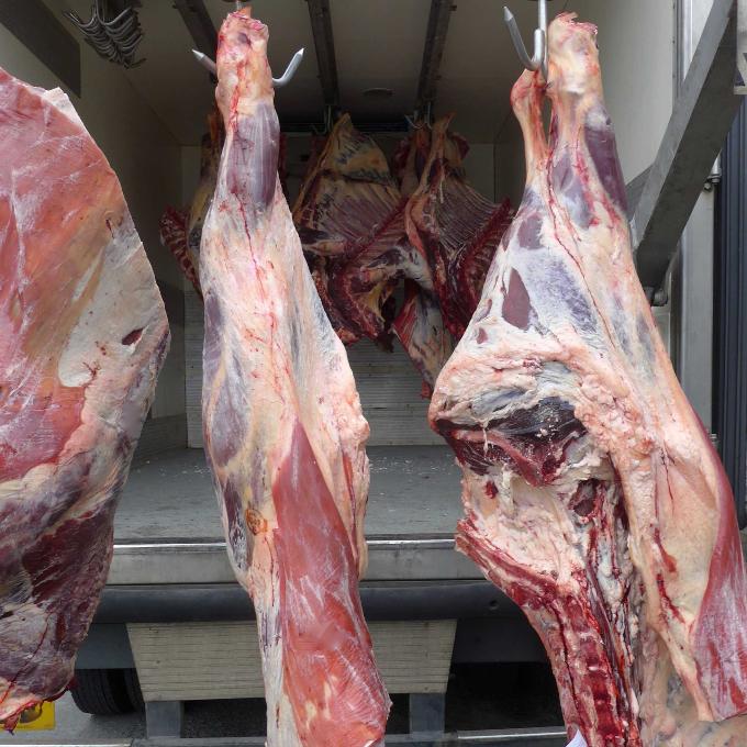 Grass Fed Beef Whole, Side or Quarter DEPOSIT