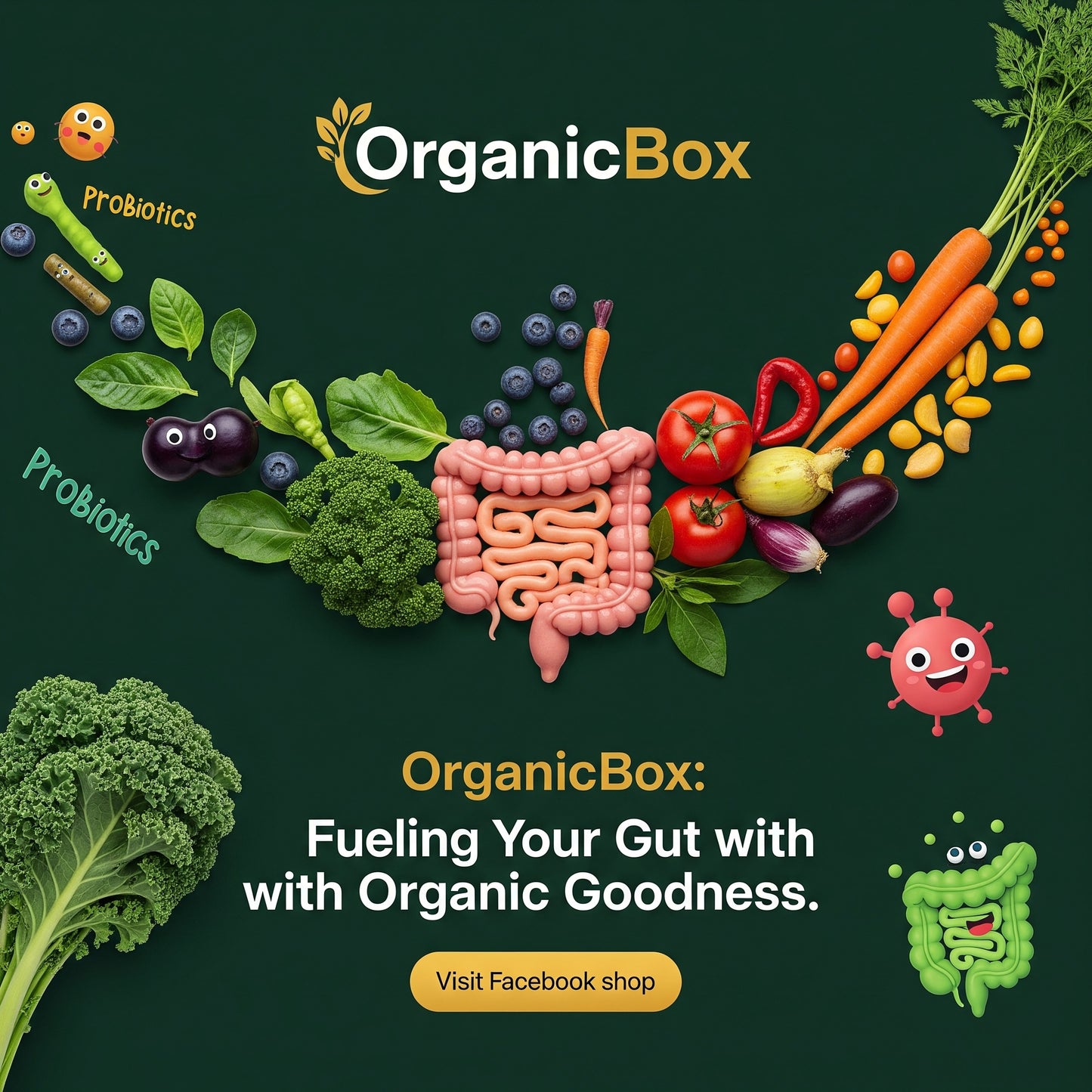 Gut Health Biome Boost Box