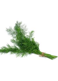 Organic Dill Bunch