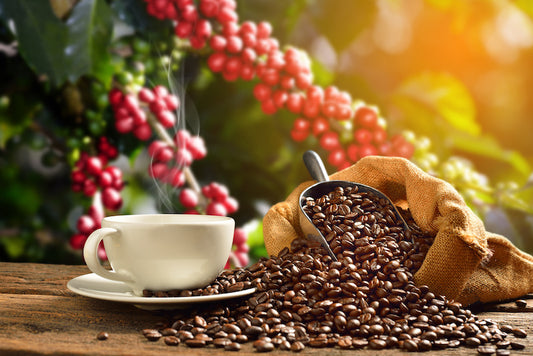 Organic Columbia Roasted Coffee Beans per 200g Single Origin