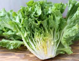 Organic Endive