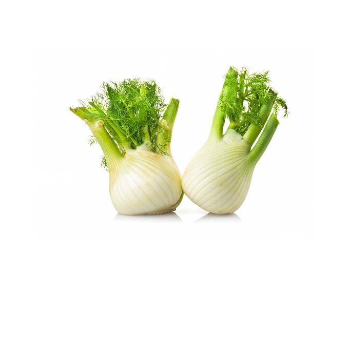 SA Organics Fennel Bunch