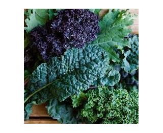 mixed_colour_kale