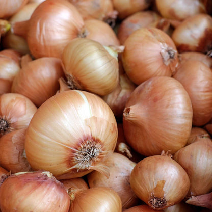 Organic Brown Onions per 250g