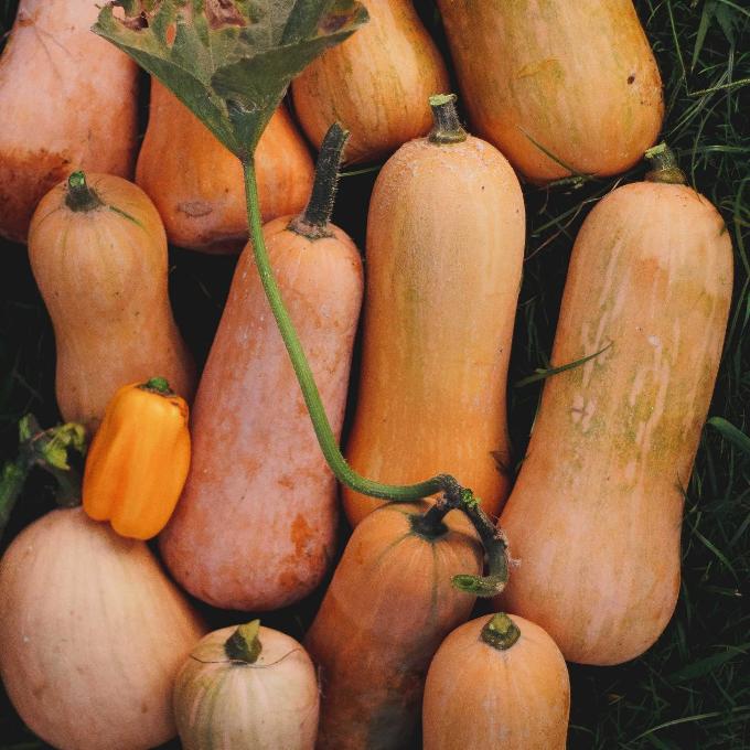 Organic Butternut Pumpkin 1kg