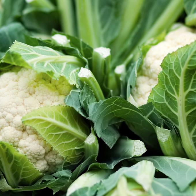 Organic Cauliflower WHOLE (small)