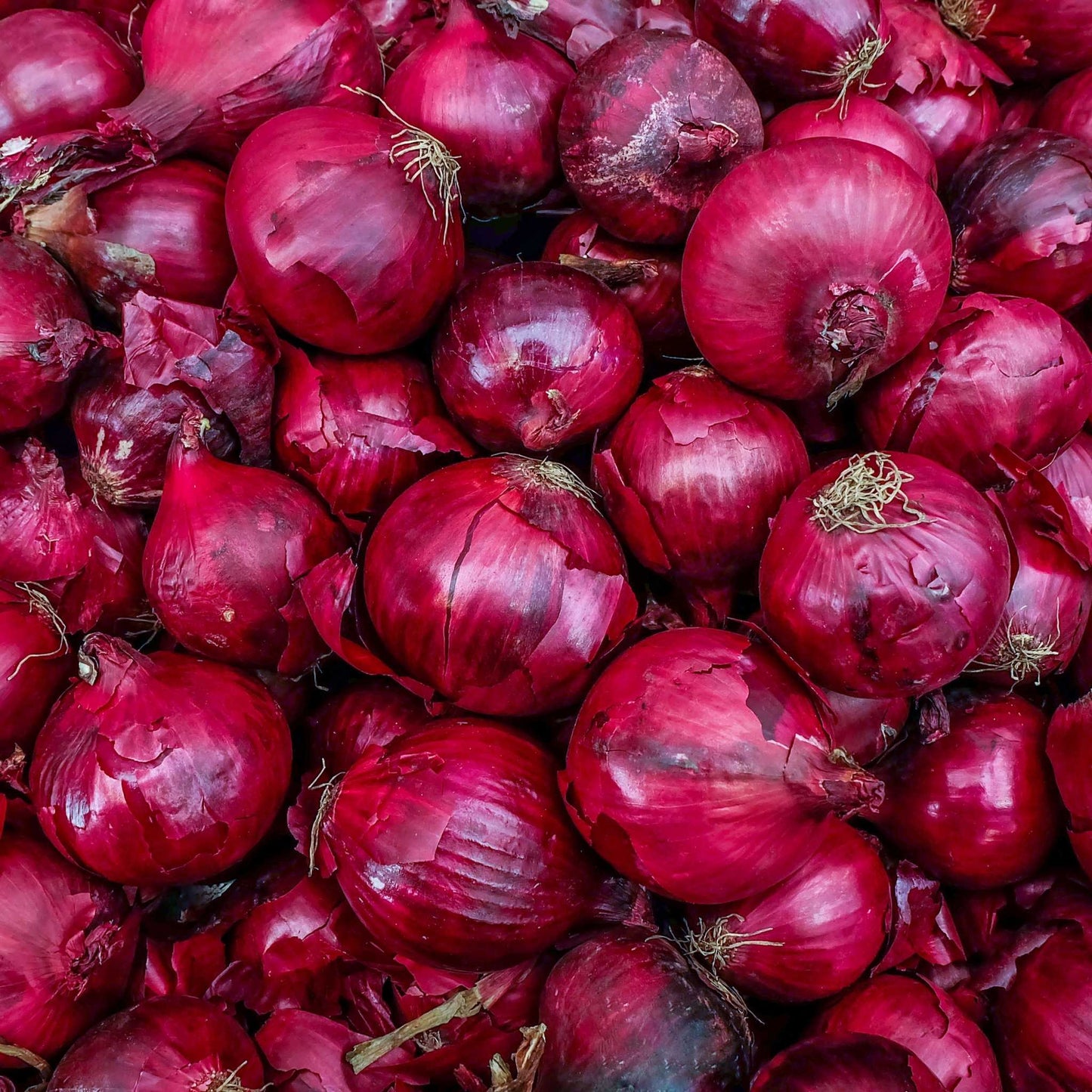 Organic Red Onions per 250g