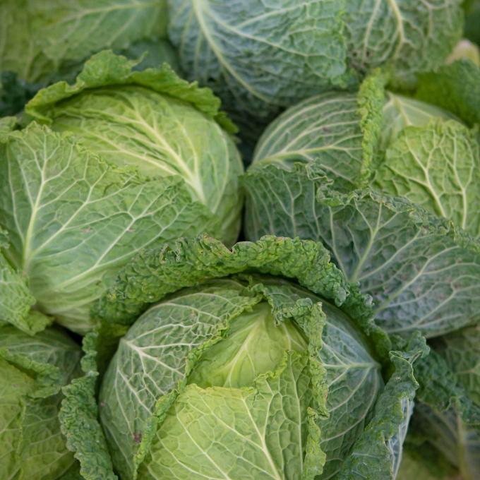Organic Savoy Cabbage Half