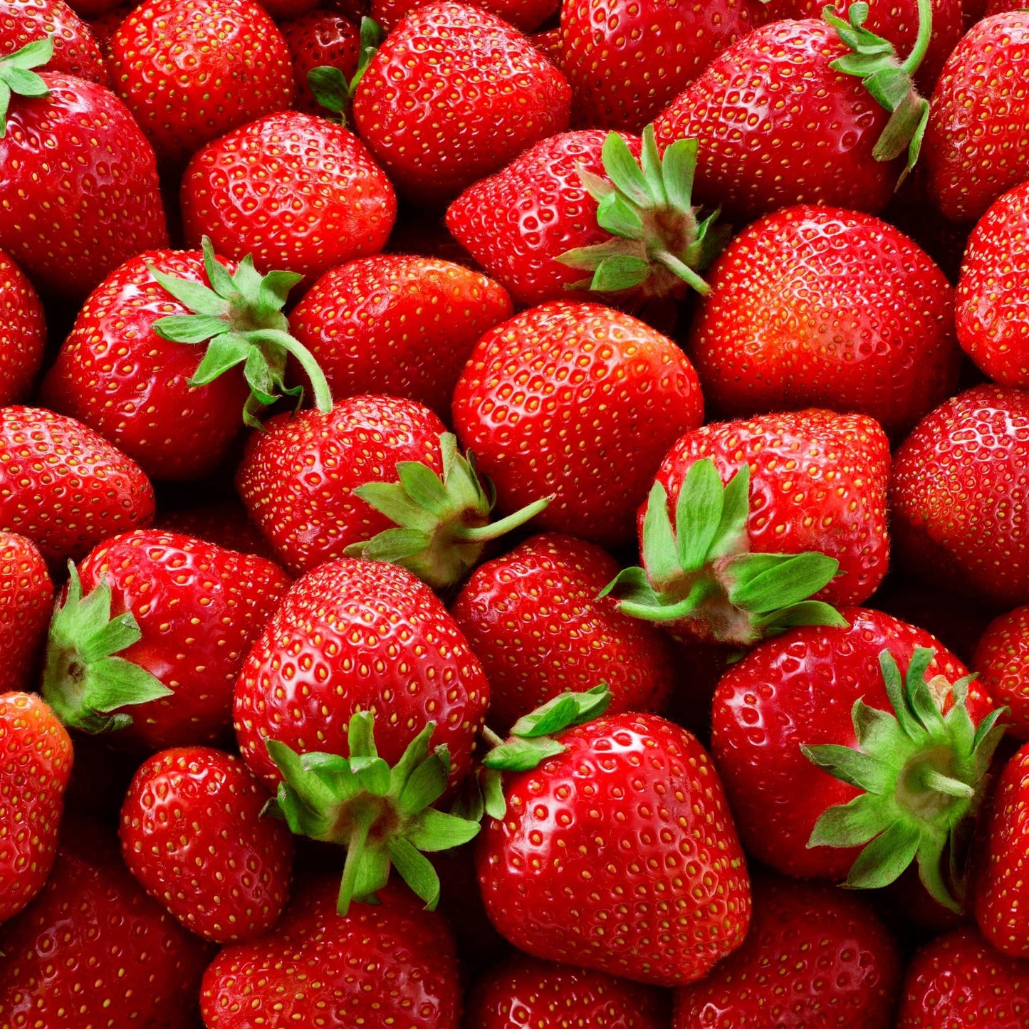 Organic Strawberries 250g Punnet