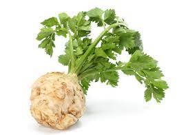 Organic Celeriac bunch