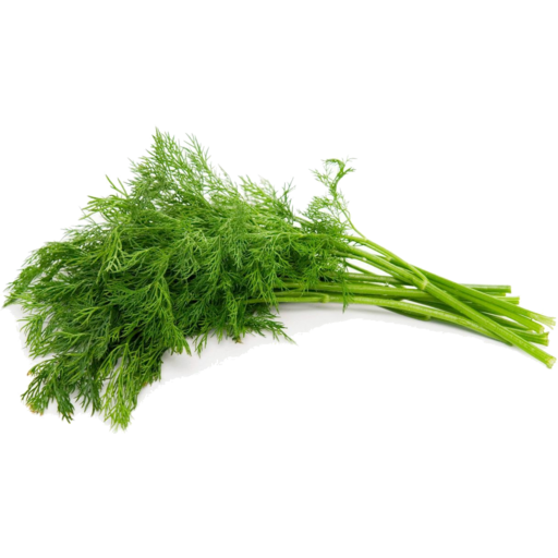 Organic Dill Bunch