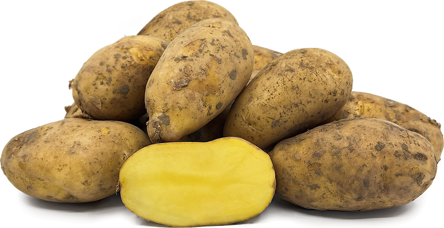 Organic Potatoes - Nicola 250g (approx 1-2 potatoes)