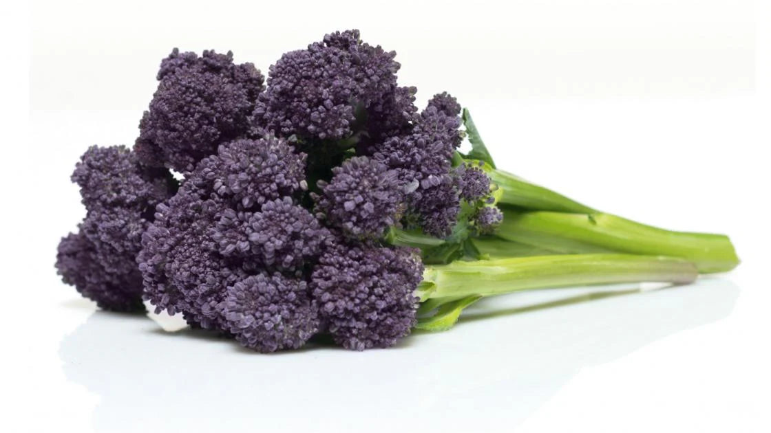 Organic Purple Broccolini bunch