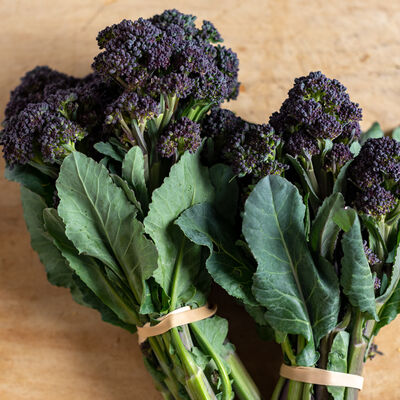organic purple sprouting broccoli