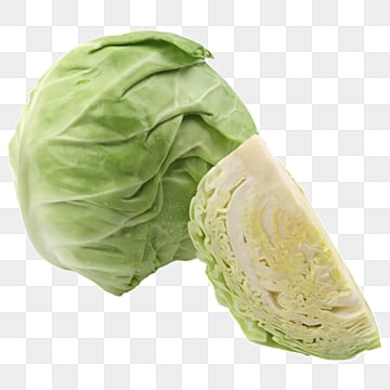 organic quarter cabbage