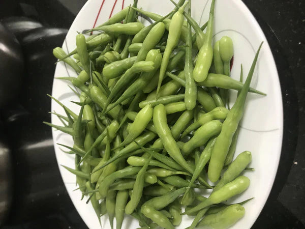 SA Organics Radish Pods bunch