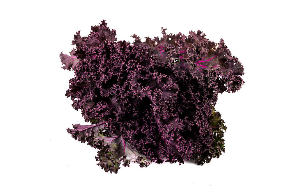 SA Organics Red (Siberian) Kale Leaves 100g Loose