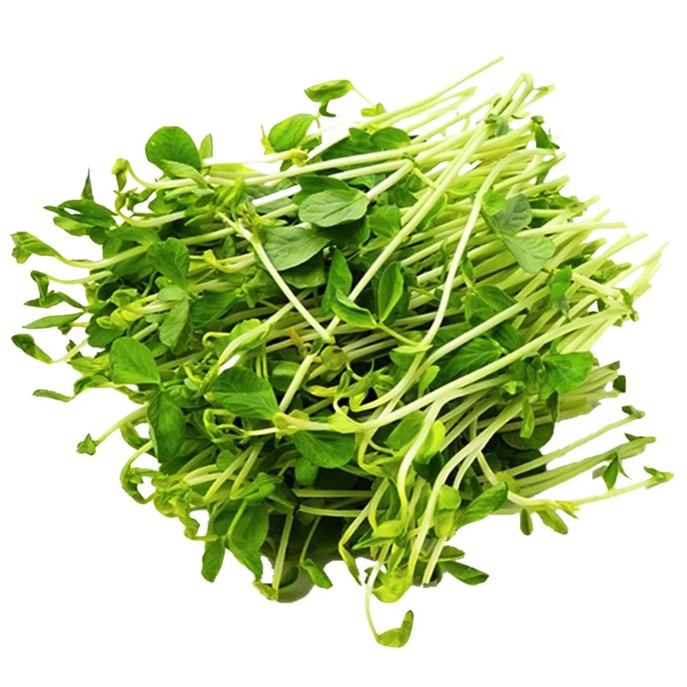 Organic Snow Peas Sprouts 100g