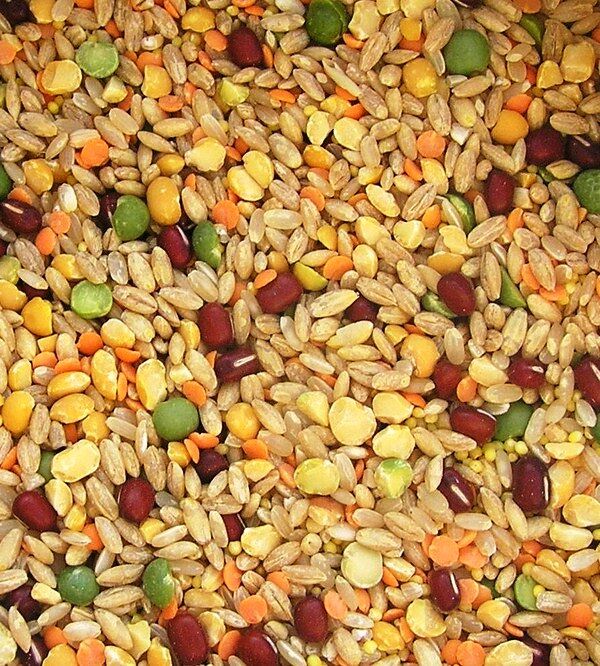 Organic Soup Mix per 200g