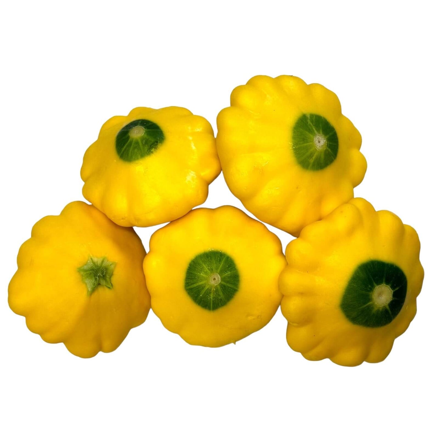 organic yellow squash