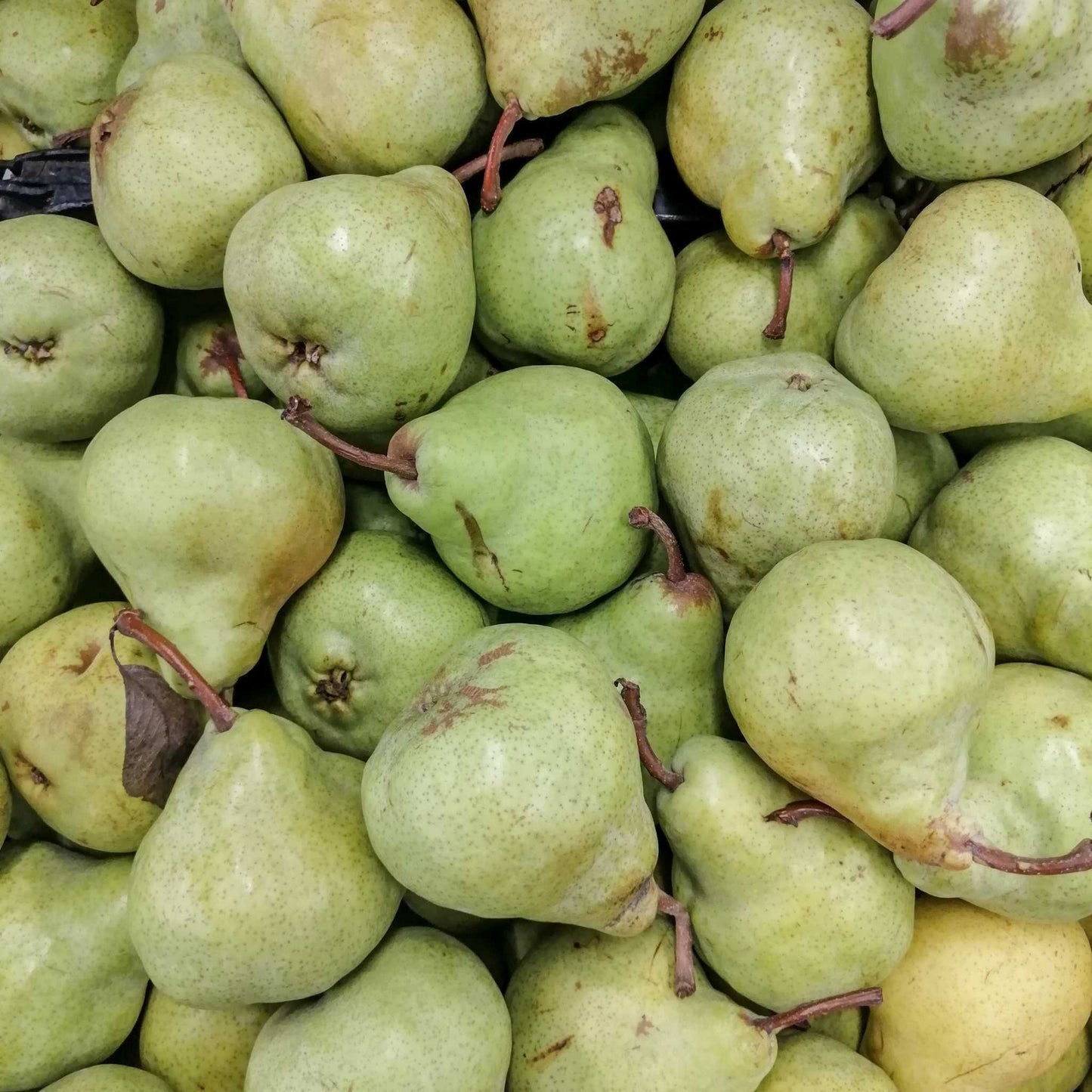 Organic Williams Pears per 200g