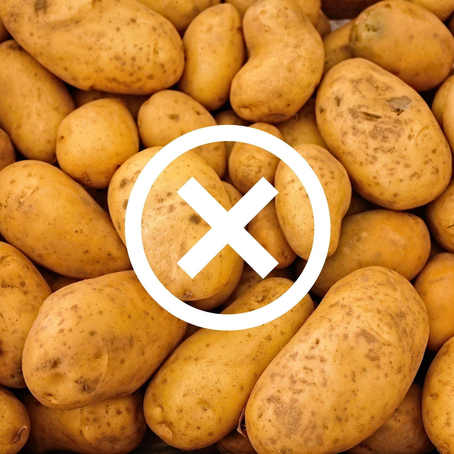 Organic Roast Vegetables Box - No Potato