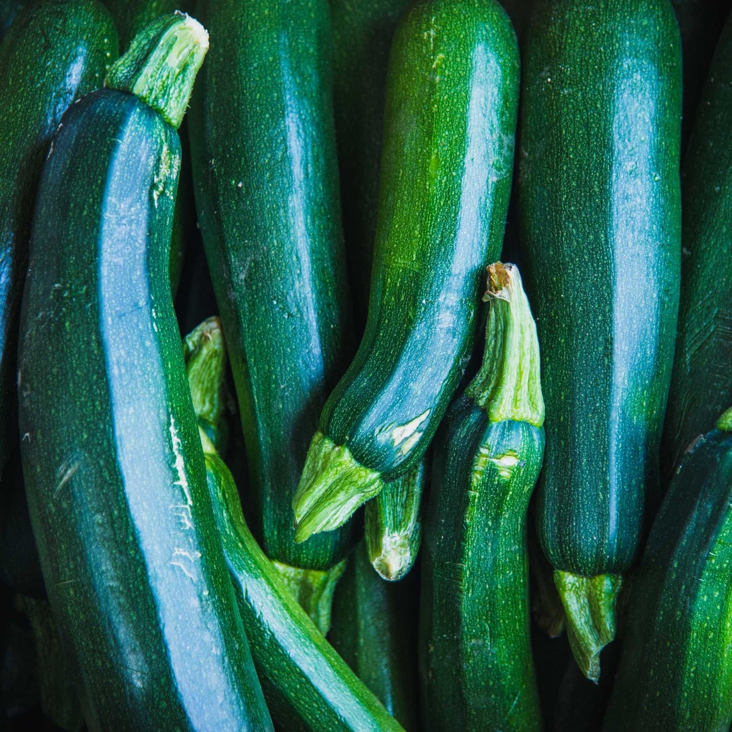Organic Zucchini per 200g