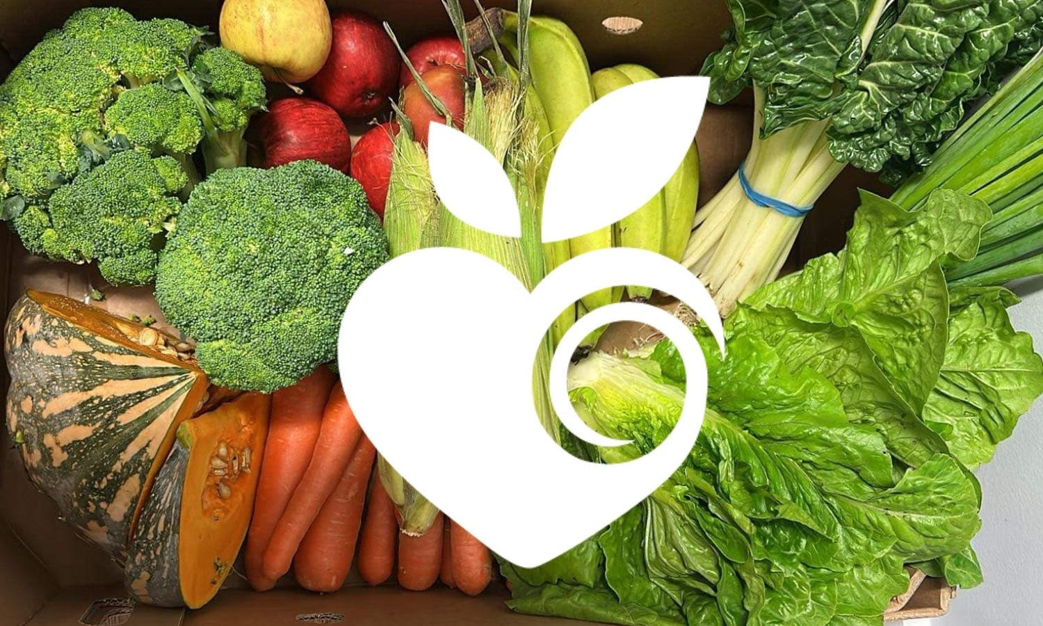 The Maxi Box – Organicbox