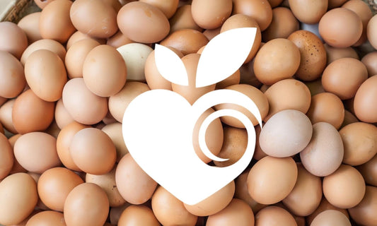 Are Organic Eggs Worth the Extra $0.30?