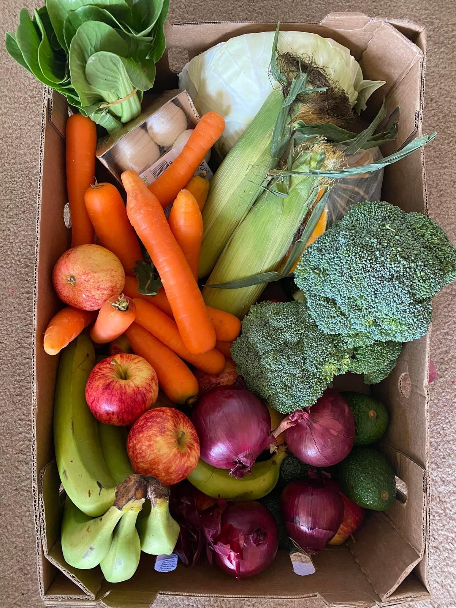 What's In The Box ~ Week 23 - Delivery Week 3/6/2024 β Organicbox