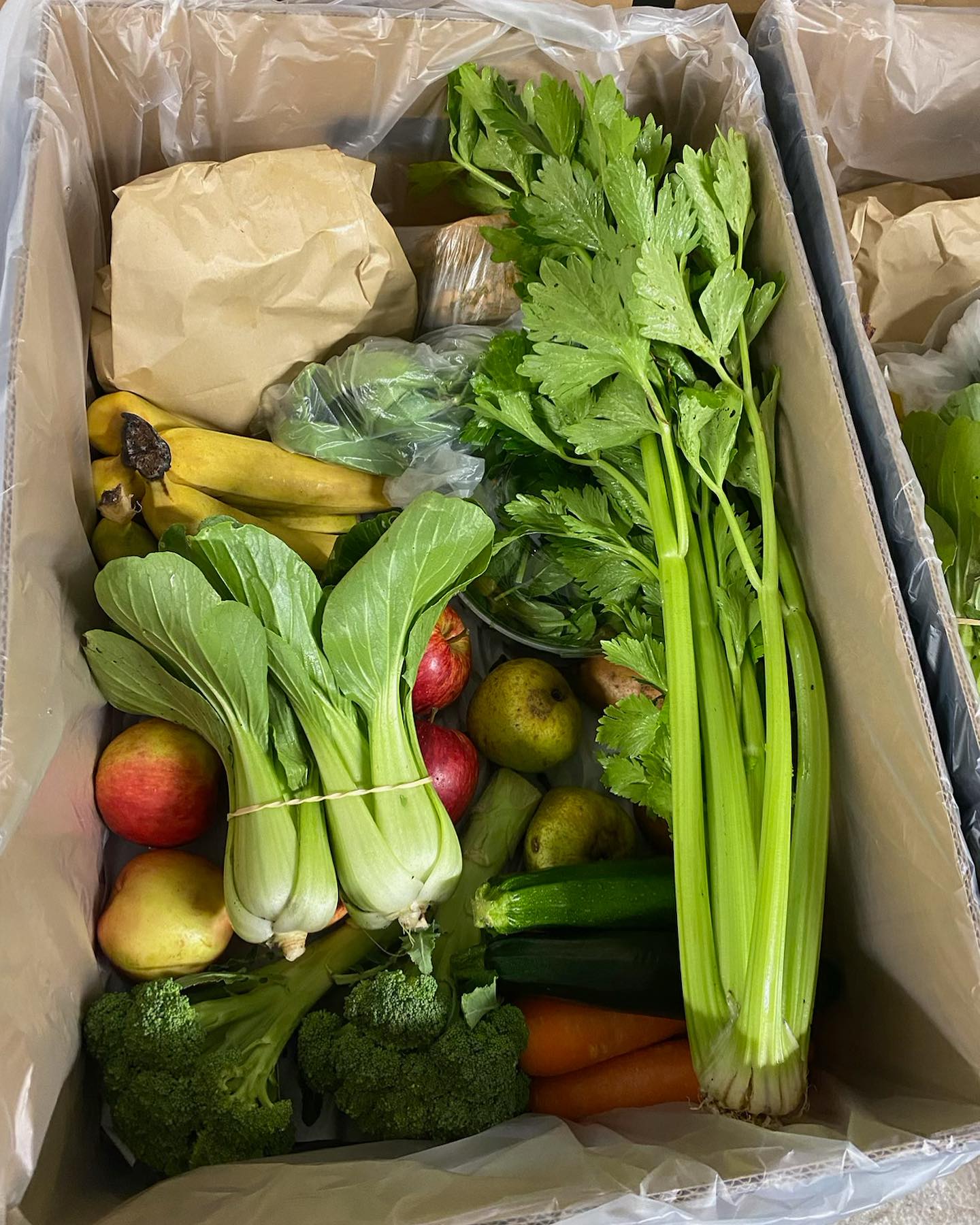 What's in the Box ~ Week 21 ~ Delivery 20/05/2024 β Organicbox