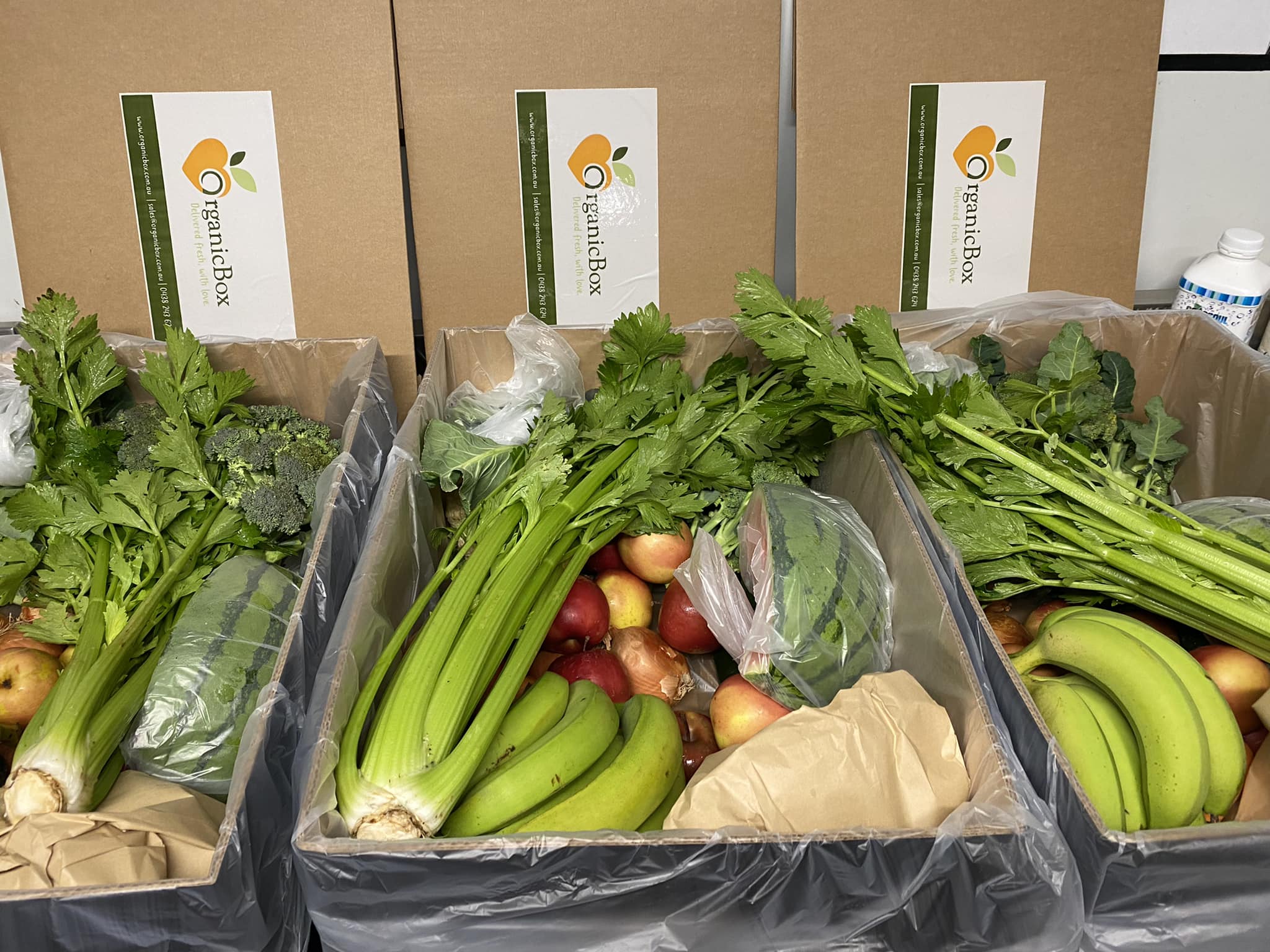 Whats in the box? - WEEK 13 BOXES - DELIVERY WEEK 25/03/2024 β Organicbox
