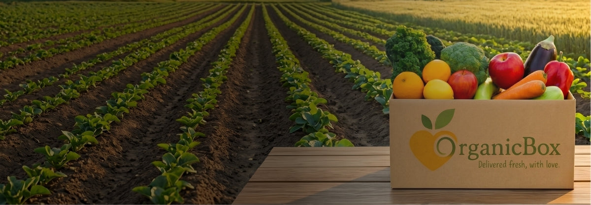 Organic Box Delivery SA | Fresh Certified Produce | OrganicBox – Organicbox