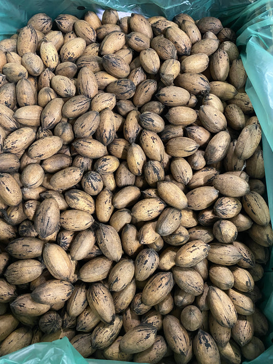 Organic Pecan in Shell per 100g