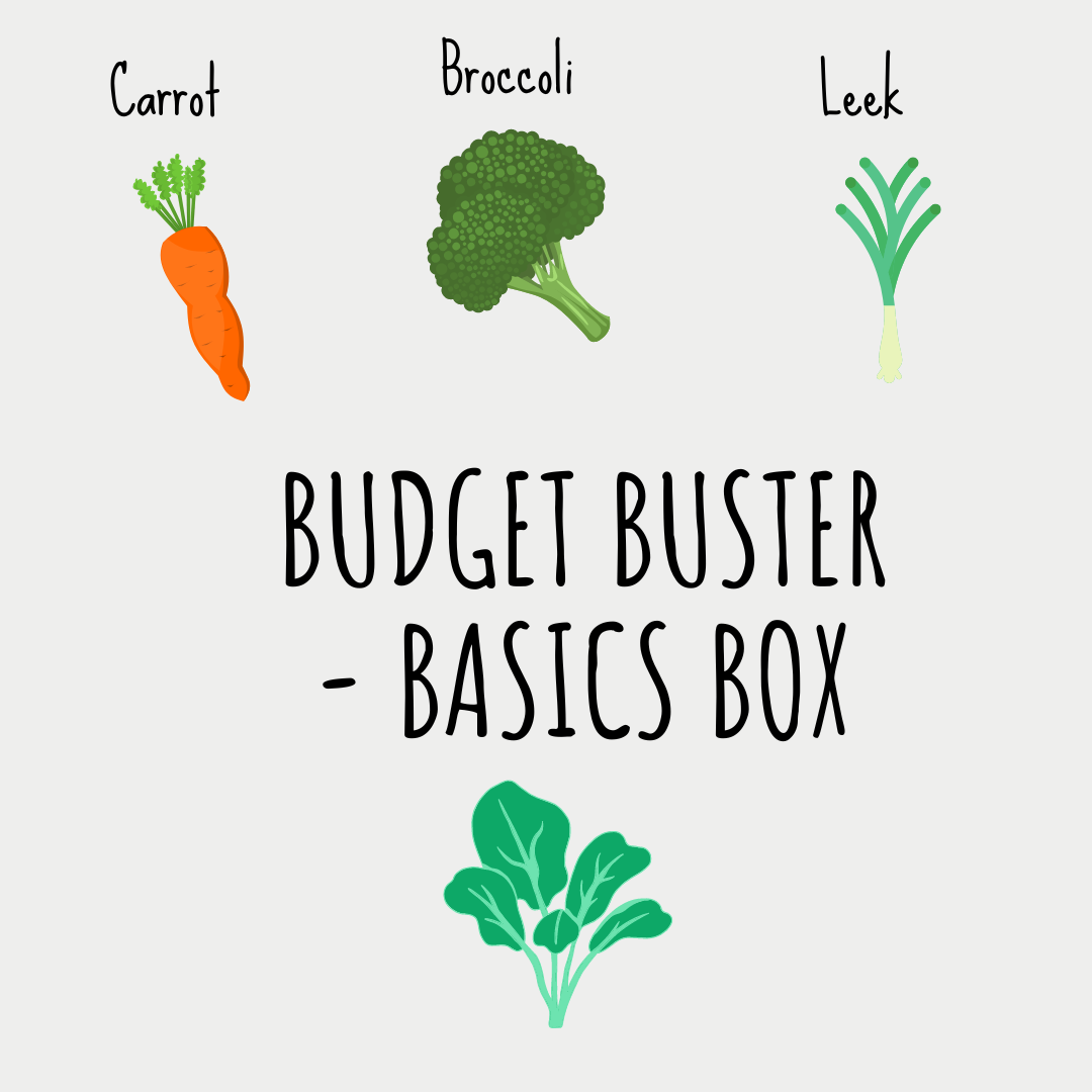 Budget Buster - Basics Box