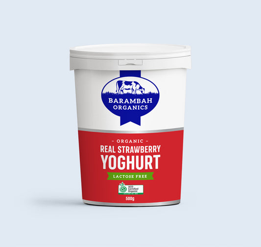 Barambah Organic Strawberry Yoghurt 500ml Lactose Free