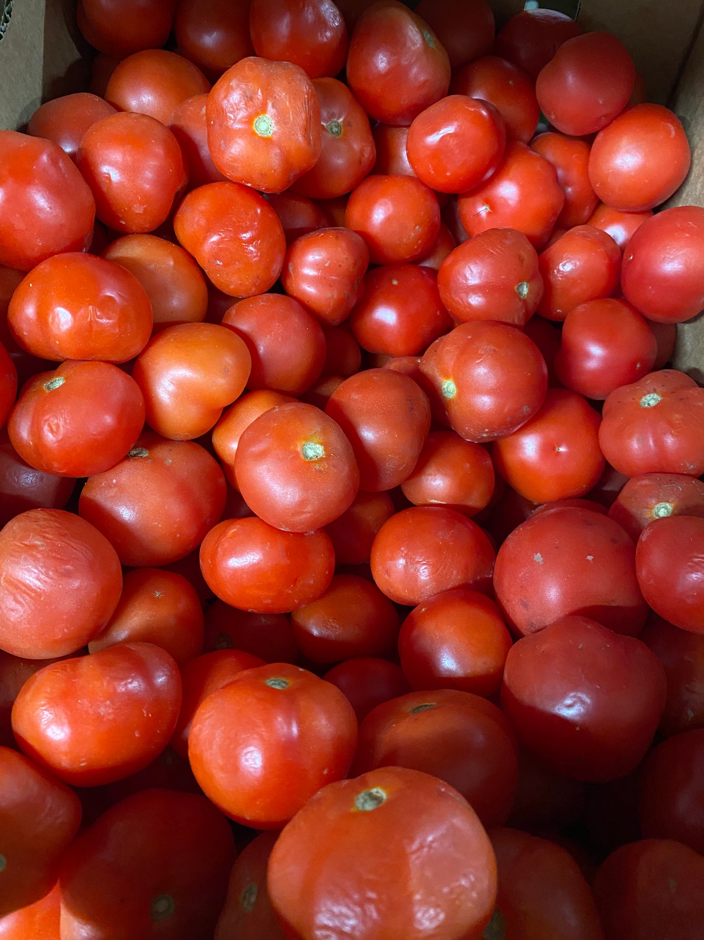 Organic Cocktail Tomatoes 200g (approx 4-5 tomatoes)
