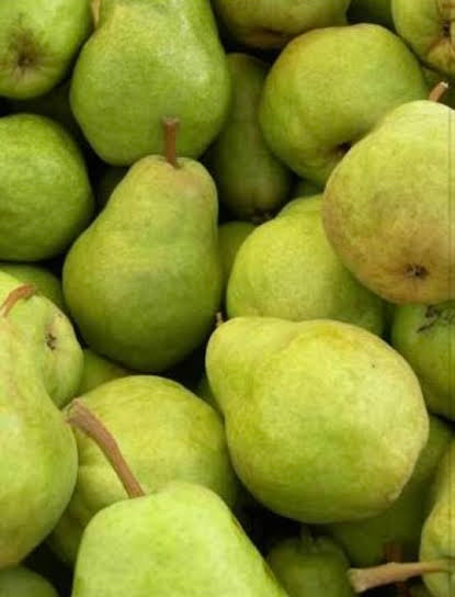 Organic Josephine Pears 250g (approx 1-2 pears)