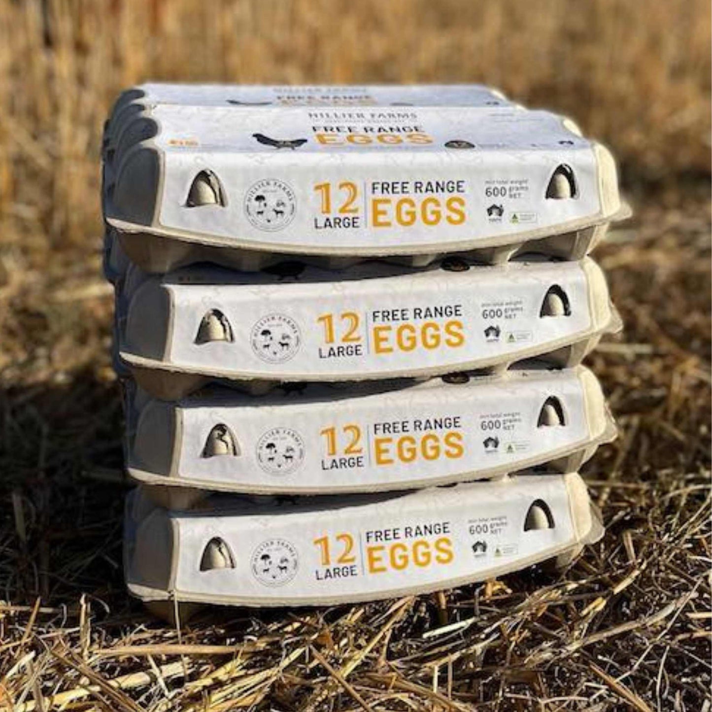 Organic Hillier Farm Eggs 700g