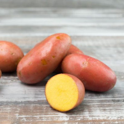 Organic Potatoes - Prince of Orange 250g (1-2)