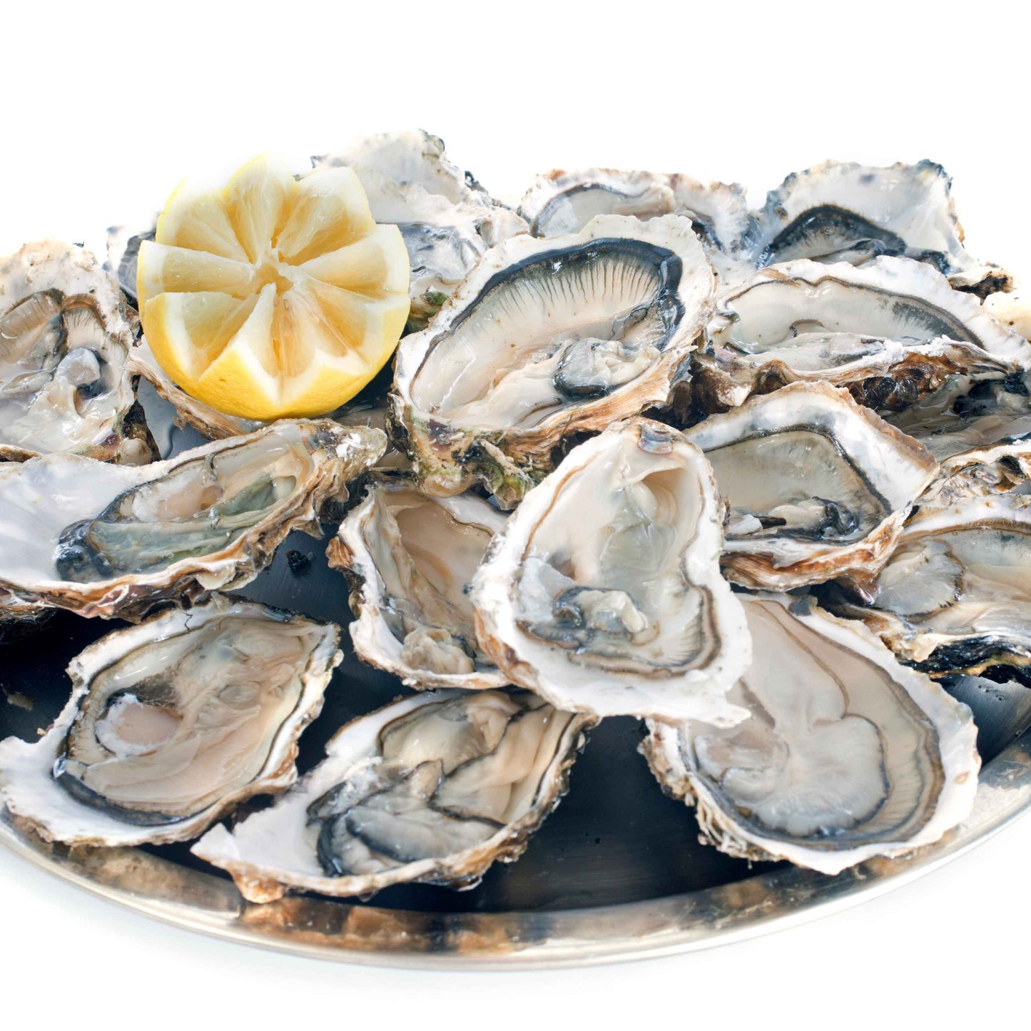 SA Oysters