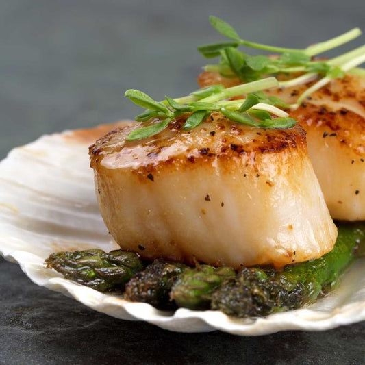 ** PRE-ORDER ONLY ** Wild Caught Scallops average 500g TAS