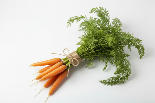 Organic Carrot bunch