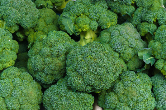 Organic Broccoli 8kg Box