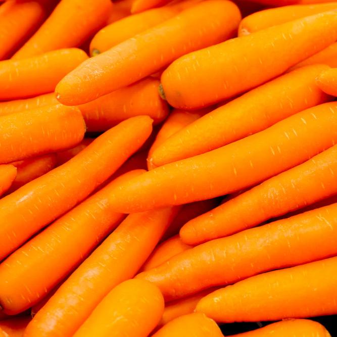 Organic Carrots 15kg Box