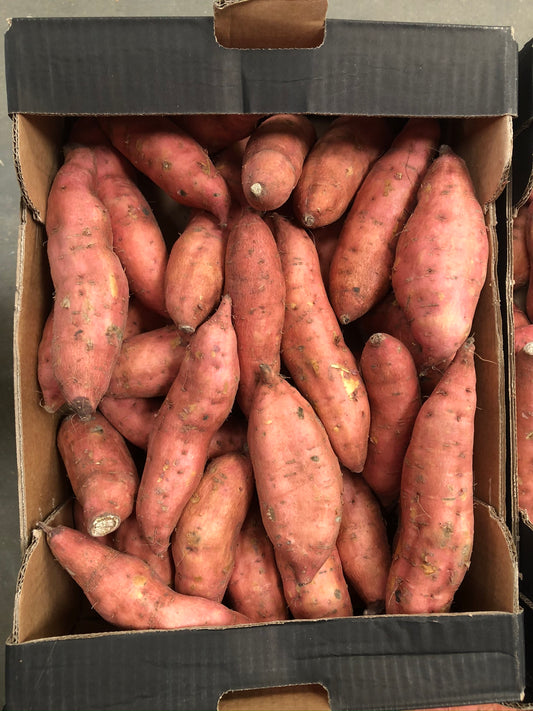 Organic Sweet Potatoes 15kg Box