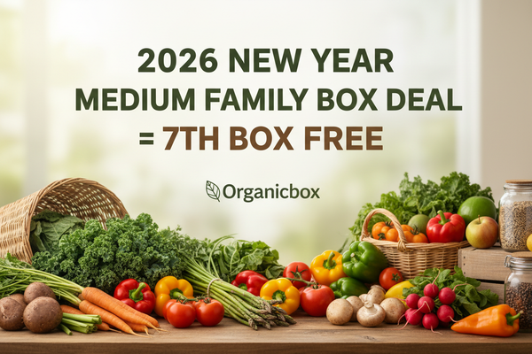 2026 NEW YEAR DEAL = 7TH BOX FREE - Medium Family Box
