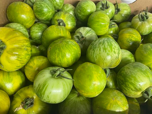 SA Organics Tomatoes 10kg Box - Green Zebra (Green)