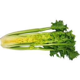 Organic Celery Bunch HALF (small half)